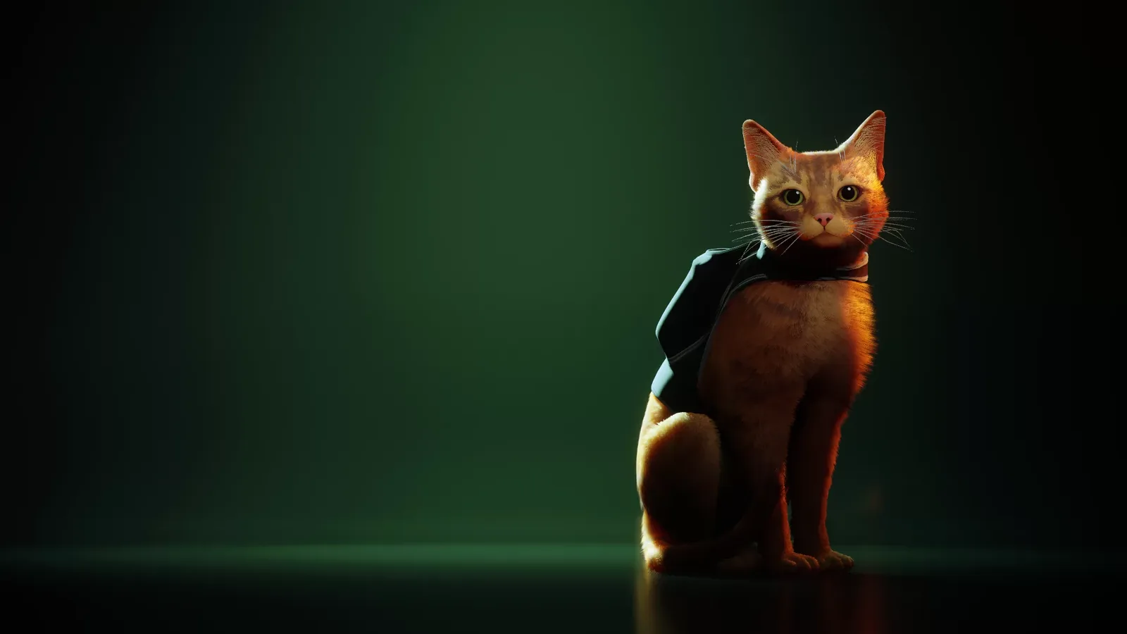 Stray key art